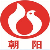 朝陽泵業(yè)QZ軸流、QH混流潛水電泵